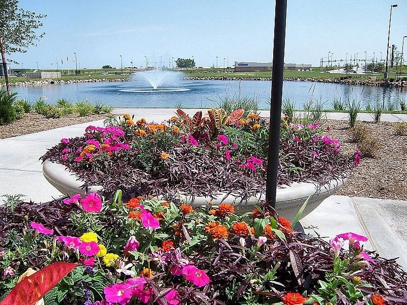 Custom Potting Projects by Executive Lawn & Landscaping, LLC. - Photo 2