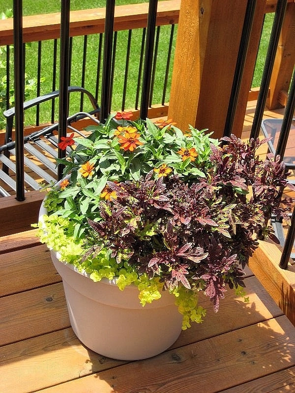 Custom Potting Projects by Executive Lawn & Landscaping, LLC. - Photo 14