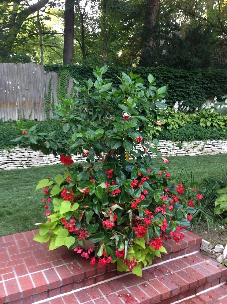 Custom Potting Projects by Executive Lawn & Landscaping, LLC. - Photo 10