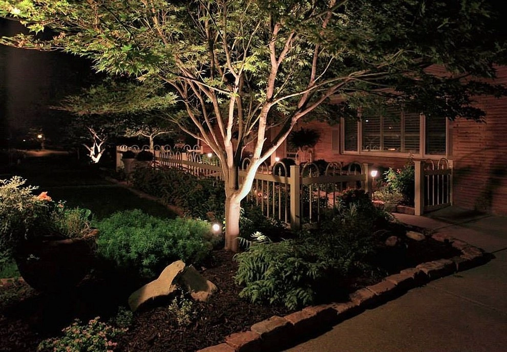 Landscape Lighting by Executive Lawn & Landscaping, LLC. - Photo 5