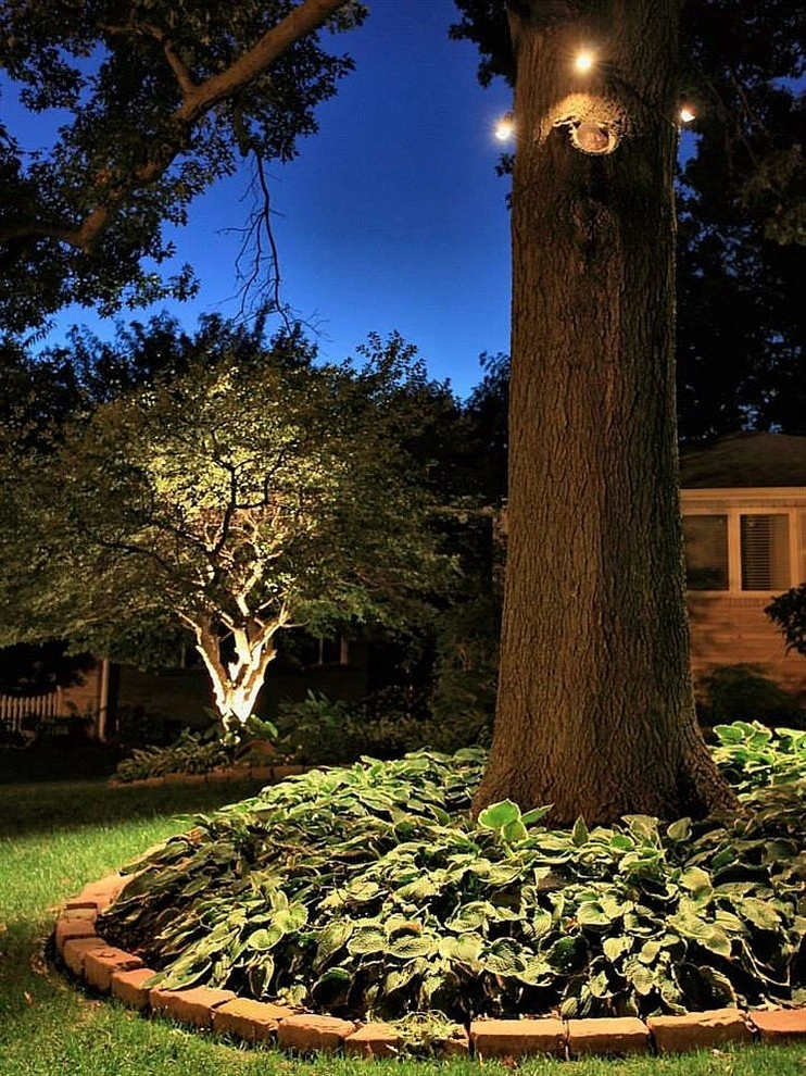Landscape Lighting by Executive Lawn & Landscaping, LLC. - Photo 10