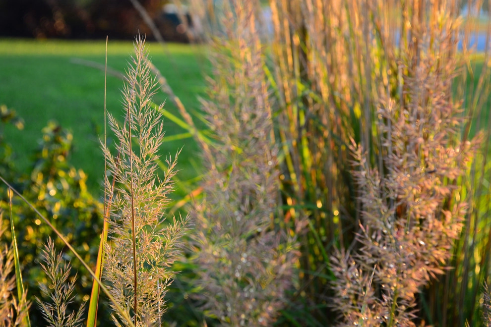 Lakeside Rustic Landscape by Breaking Ground - Photo 17