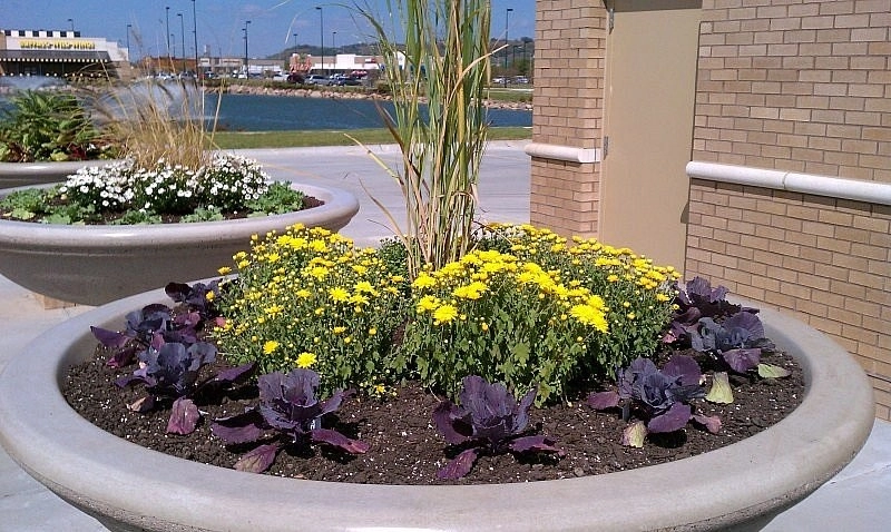 Custom Potting Projects by Executive Lawn & Landscaping, LLC. - Photo 7