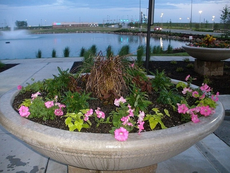Custom Potting Projects by Executive Lawn & Landscaping, LLC. - Photo 15