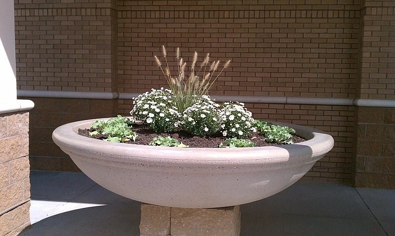Custom Potting Projects by Executive Lawn & Landscaping, LLC. - Photo 26