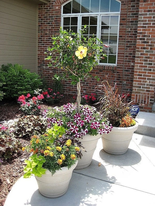 Custom Potting Projects by Executive Lawn & Landscaping, LLC. - Photo 20