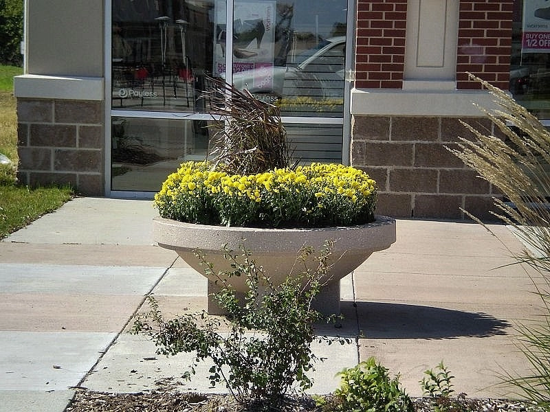 Custom Potting Projects by Executive Lawn & Landscaping, LLC. - Photo 9