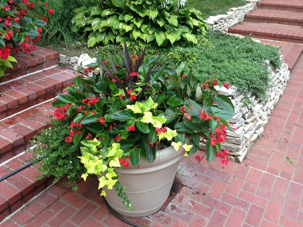 Custom Potting Projects by Executive Lawn & Landscaping, LLC. - Photo 23