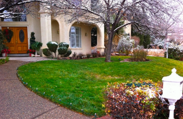Extra Scapes LLC - Photo 3