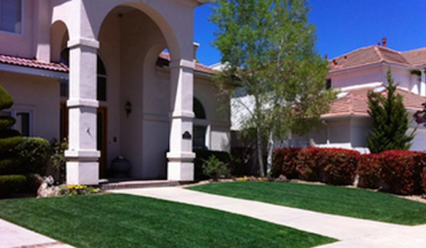 Extra Scapes LLC - Photo 4