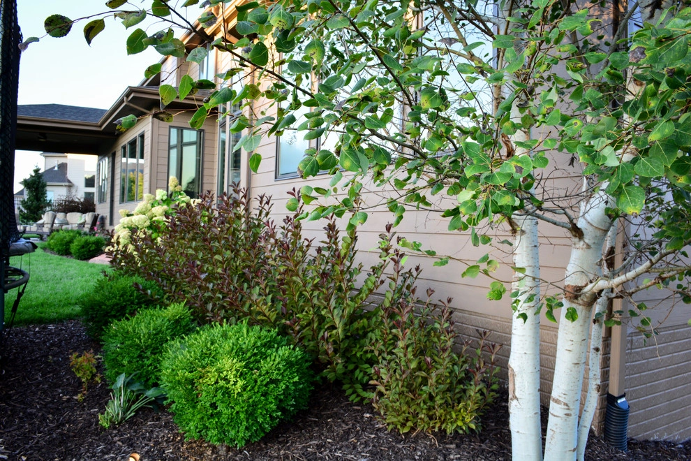 Rustic Silver Leaf Estate by Breaking Ground - Photo 11