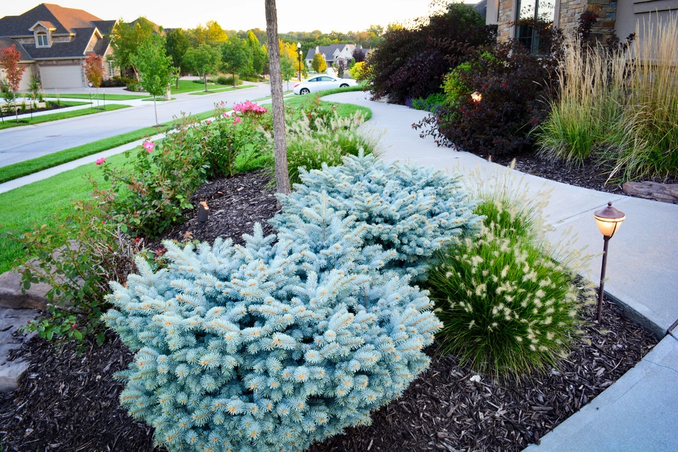 Rustic Silver Leaf Estate by Breaking Ground - Photo 5