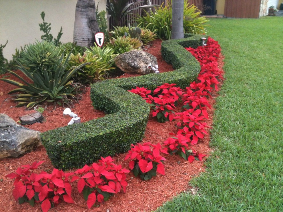 Falcon Professional Lawn Services - Photo 11