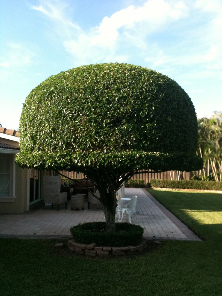 Falcon Professional Lawn Services - Photo 14