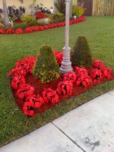 Landscapings by Falcon Professional Lawn Services - Photo 18