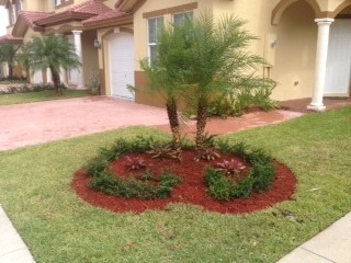 Falcon Professional Lawn Services - Photo 7