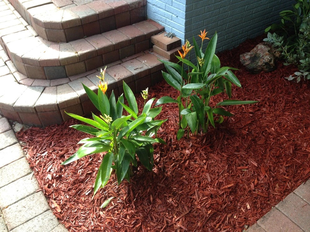 Investor Property by Falcon Professional Lawn Services - Photo 3