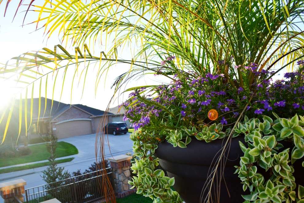French Country Corner lot Courtyard by Breaking Ground - Photo 65