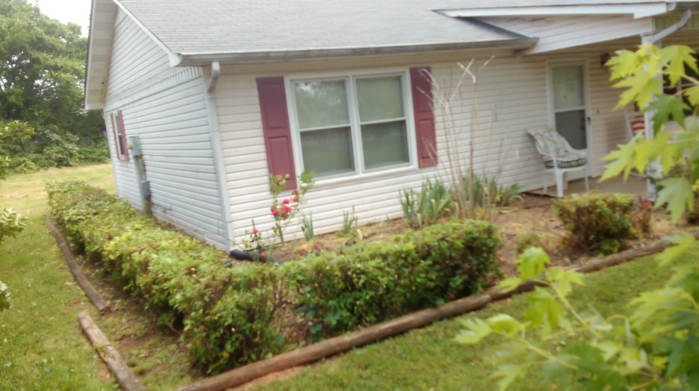 Overgrown Hedge Trimmings by L & D Landscaping - Photo 3