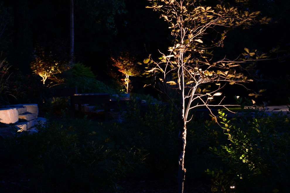 Modern Hillside Entry and Sculpture Garden by Breaking Ground - Photo 5