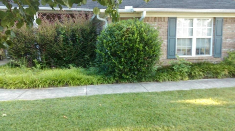 L & D Landscaping - Photo 5