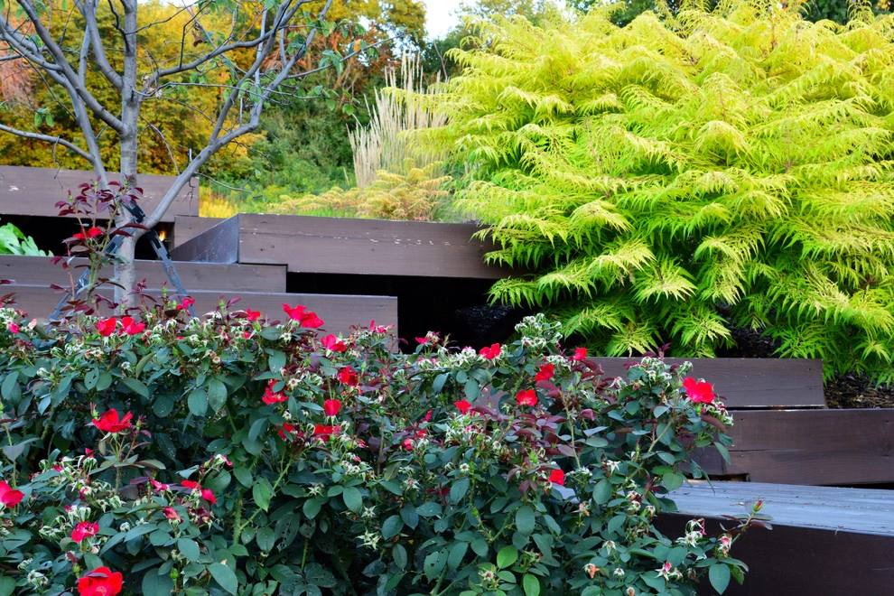 Modern Hillside Entry and Sculpture Garden by Breaking Ground - Photo 24