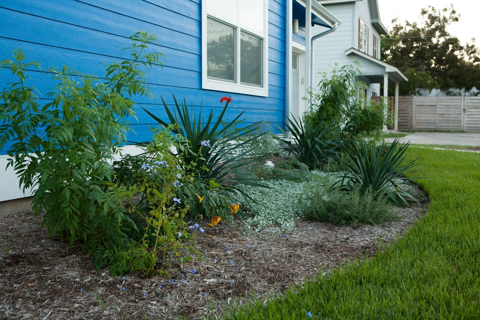 East Austin Modern by Fertile Ground Organic Gardens - Photo 9