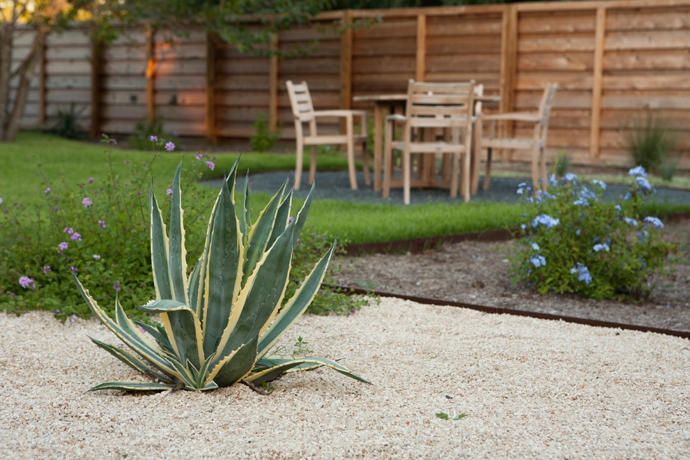 Fertile Ground Organic Gardens - Photo 9