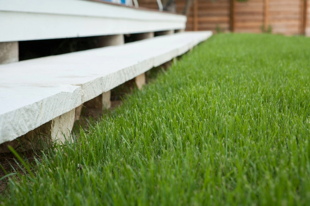 East Austin Modern by Fertile Ground Organic Gardens - Photo 8