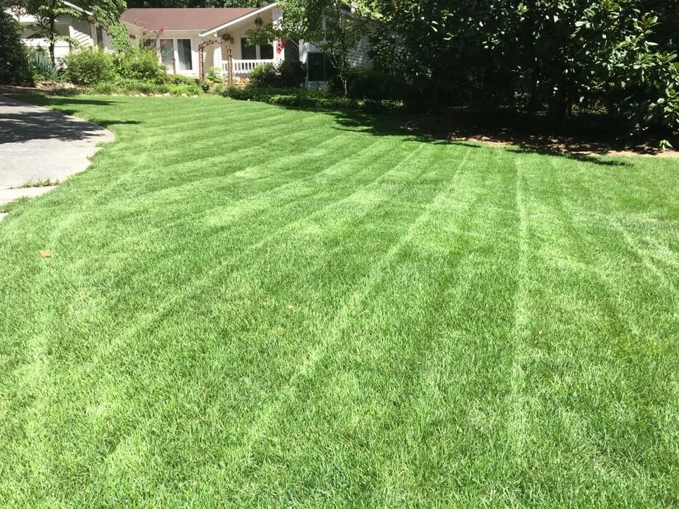 Fine Edge Landscapes - Photo 11