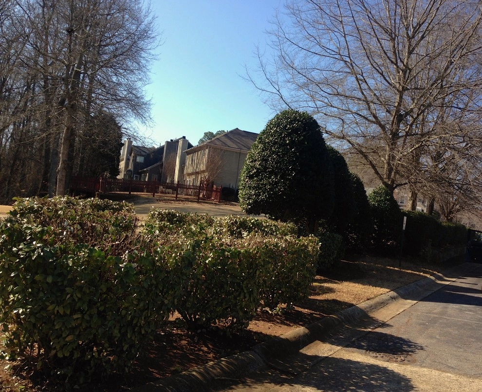 Fine Edge Landscapes - Photo 10