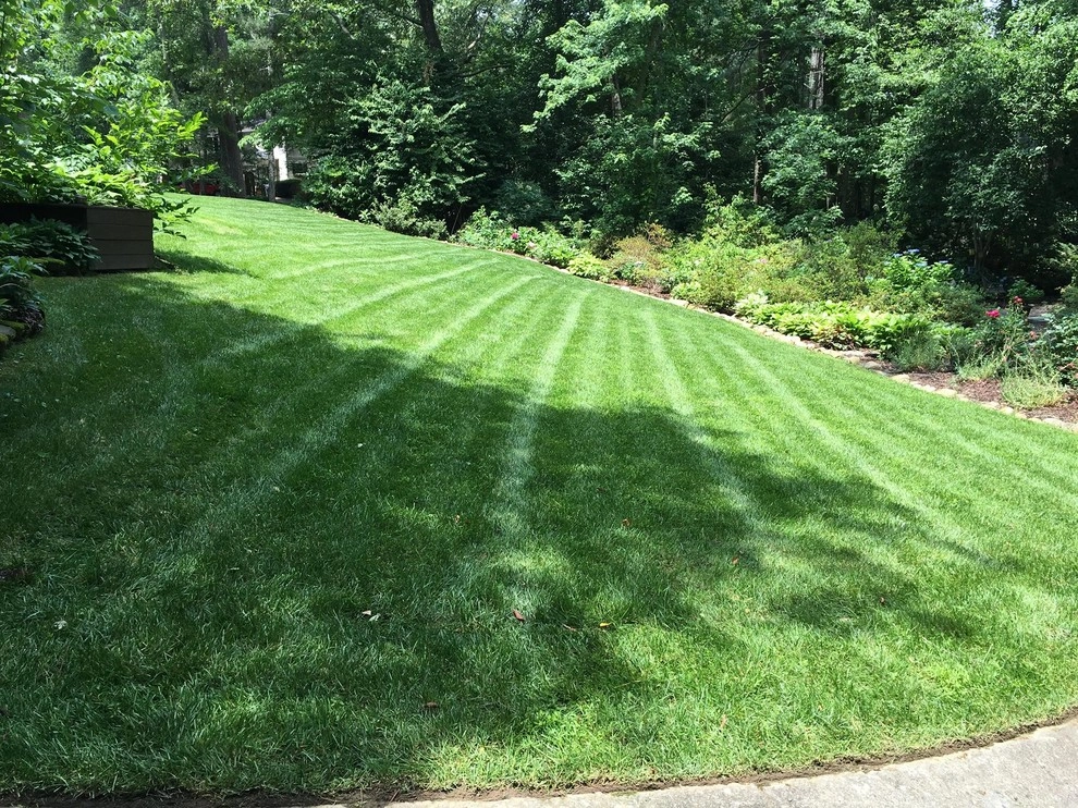 Fine Edge Landscapes - Photo 9