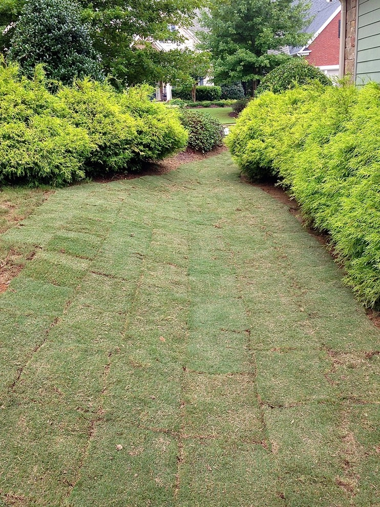 Fine Edge Landscapes - Photo 8