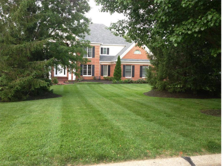 First Choice Landscaping, LLC - Photo 5