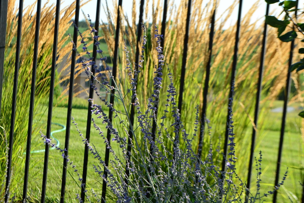 Comfortable Backyard Retreat by Breaking Ground - Photo 14