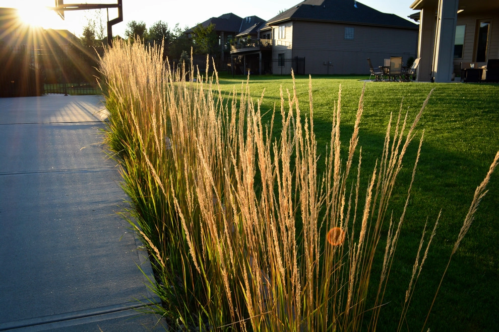 Rustic Silver Leaf Estate by Breaking Ground - Photo 3