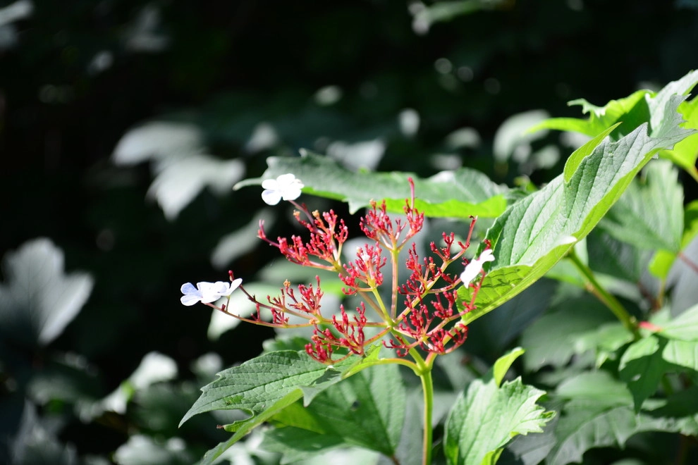 Shady Backyard Sanctuary by Breaking Ground - Photo 16