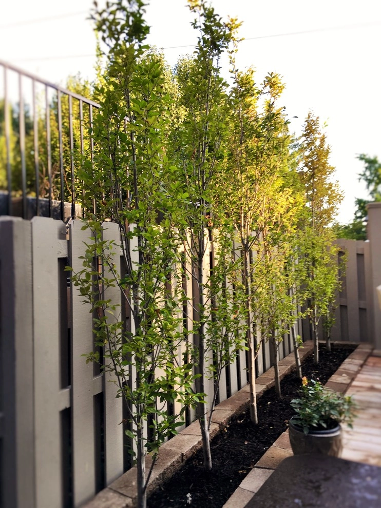 Clayton Landscape by Flora Design And Landscape - Photo 2