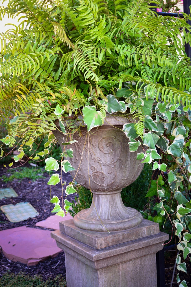 French Country Corner lot Courtyard by Breaking Ground - Photo 7