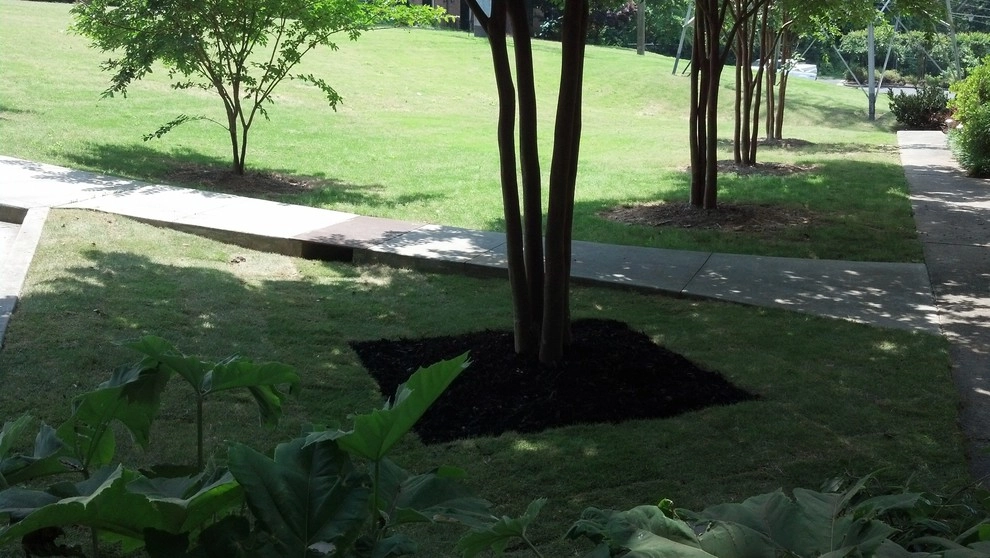 **Fluent Landscape** 678-977-9661 by Fluent Landscape - Photo 5