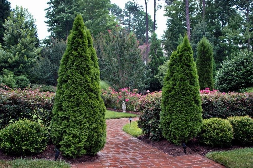 Before & After Projects by Fontaine Landscaping Inc. - Photo 24