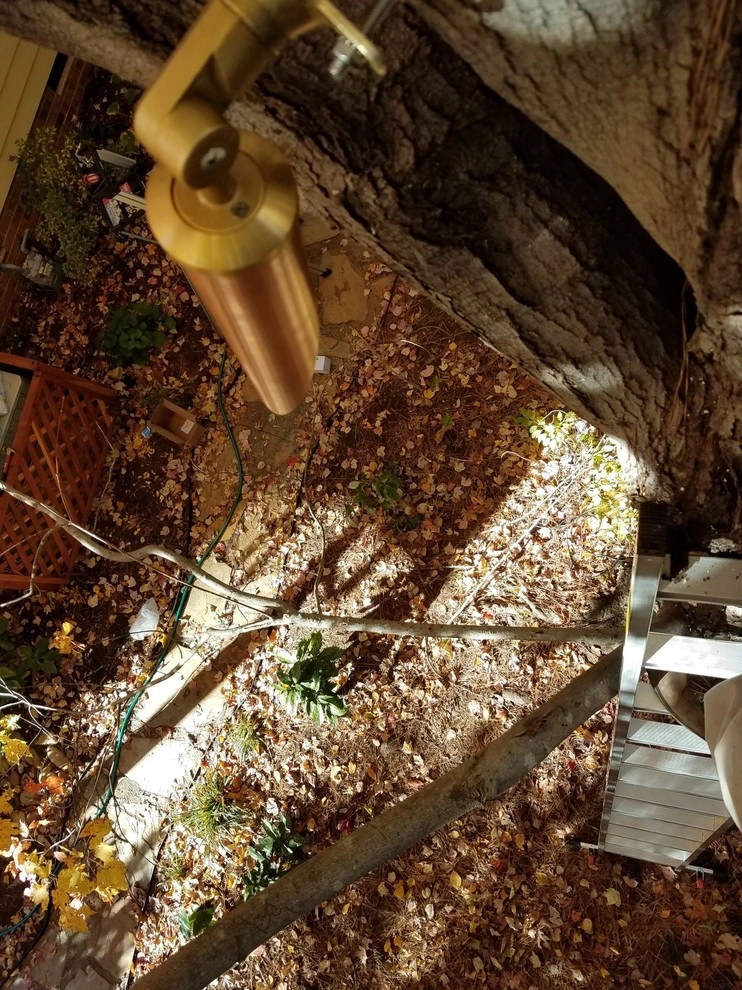 Outdoor Landscape Lighting by Fontaine Landscaping Inc. - Photo 4
