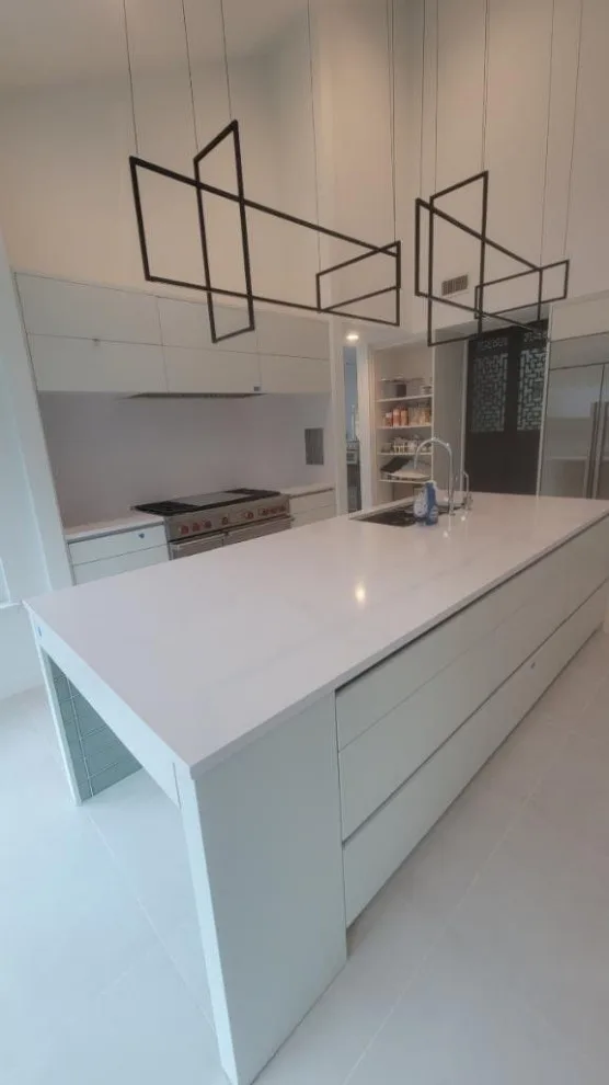 Dallas Culinary Renovation by SLM General Contractors, LLC - Photo 14