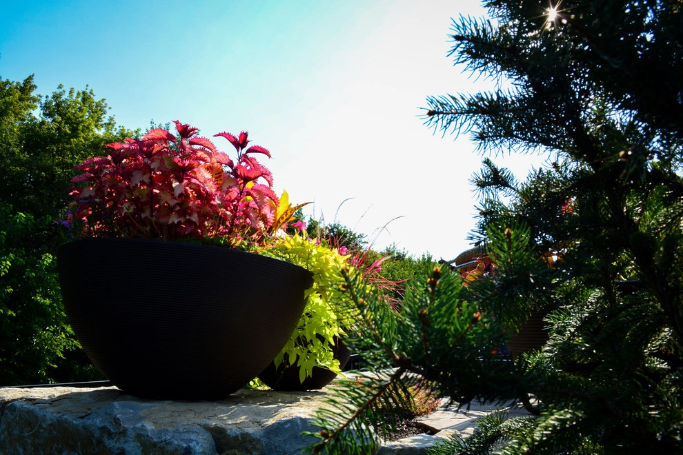 Innovative Pool Patio by Breaking Ground - Photo 2