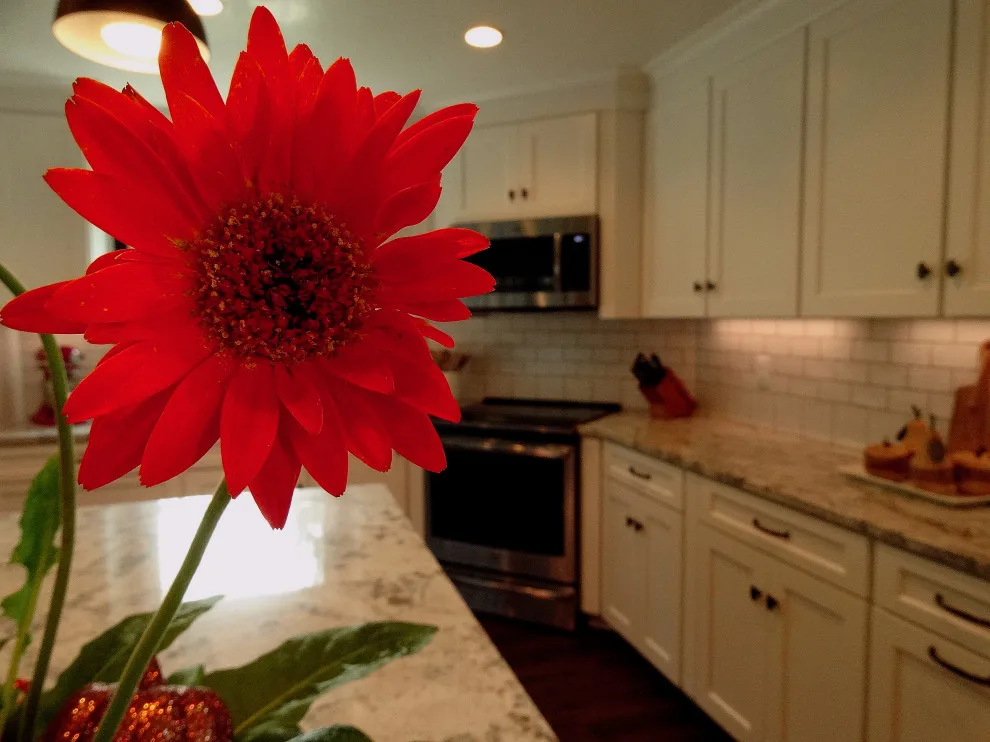 Franklin Home - Kitchen Renovation by Cornerstone Remodeling, Ltd - Photo 18