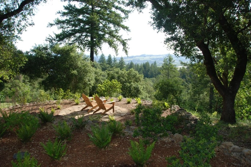 North Bay/ Wine Country by Frank & Grossman Landscape Contractors, Inc. - Photo 8