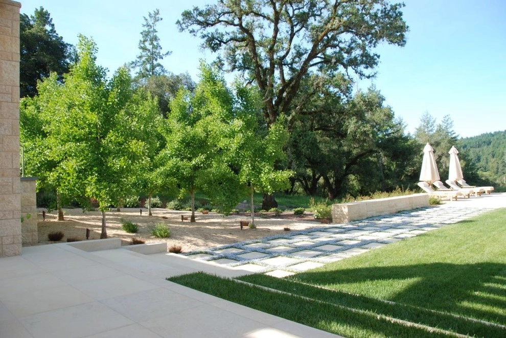 North Bay/ Wine Country by Frank & Grossman Landscape Contractors, Inc. - Photo 5
