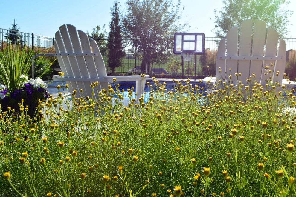 Comfortable Backyard Retreat by Breaking Ground - Photo 17