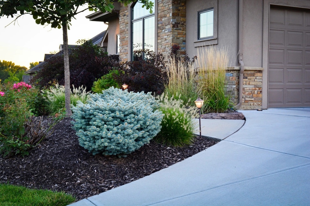 Rustic Silver Leaf Estate by Breaking Ground - Photo 4