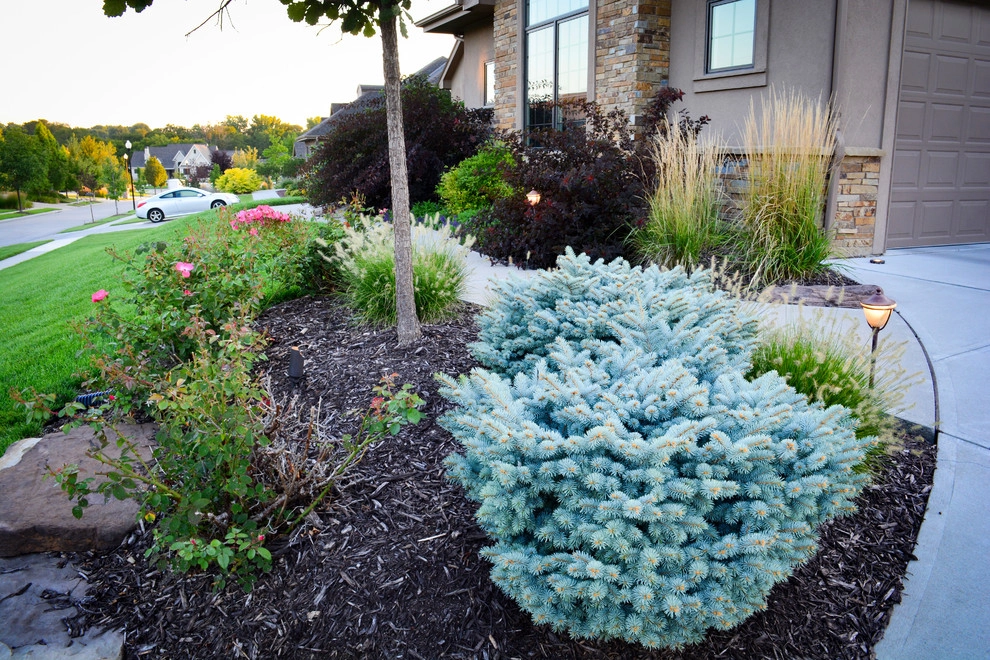Rustic Silver Leaf Estate by Breaking Ground - Photo 13
